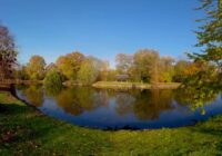 360 video - Exploring Park Rivierenhof, Antwerp (Belgium) - Autumn 2020 | The 360 Experience